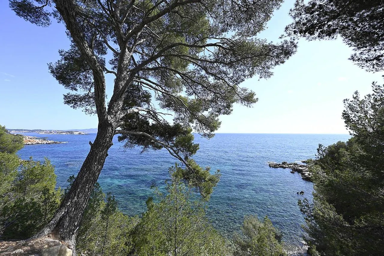 Appartement Agréable studio 2/4 pers au calme avec rez-de-jardin Bandol