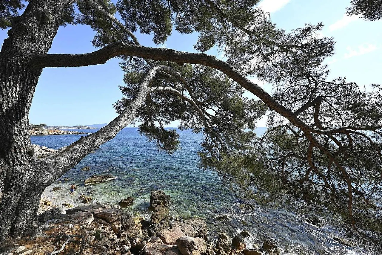 Agréable studio 2/4 pers au calme avec rez-de-jardin Bandol 0*,