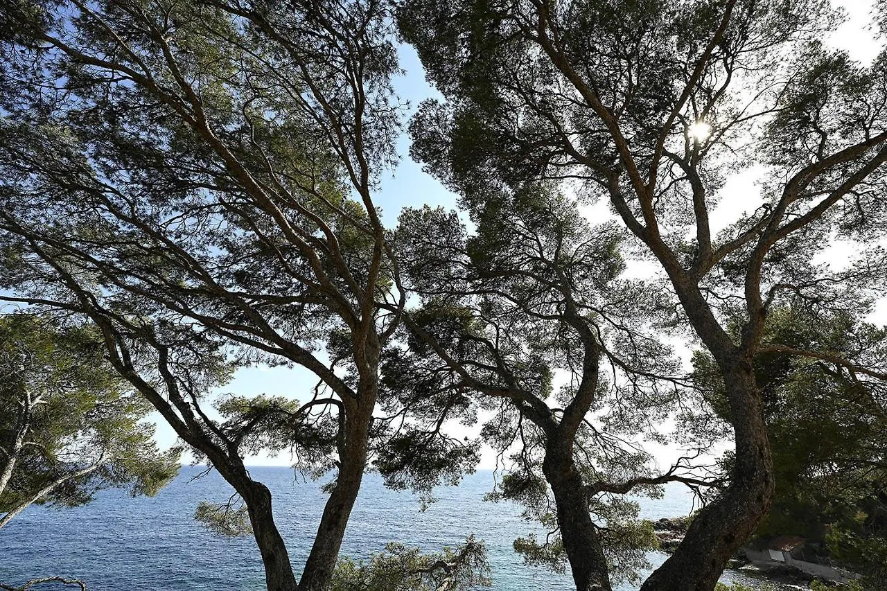 Charmant Studio 2A4 Pers Avec Jardin Et Place De Parking Situe A 5 Min A Pied De La Mer Bandol