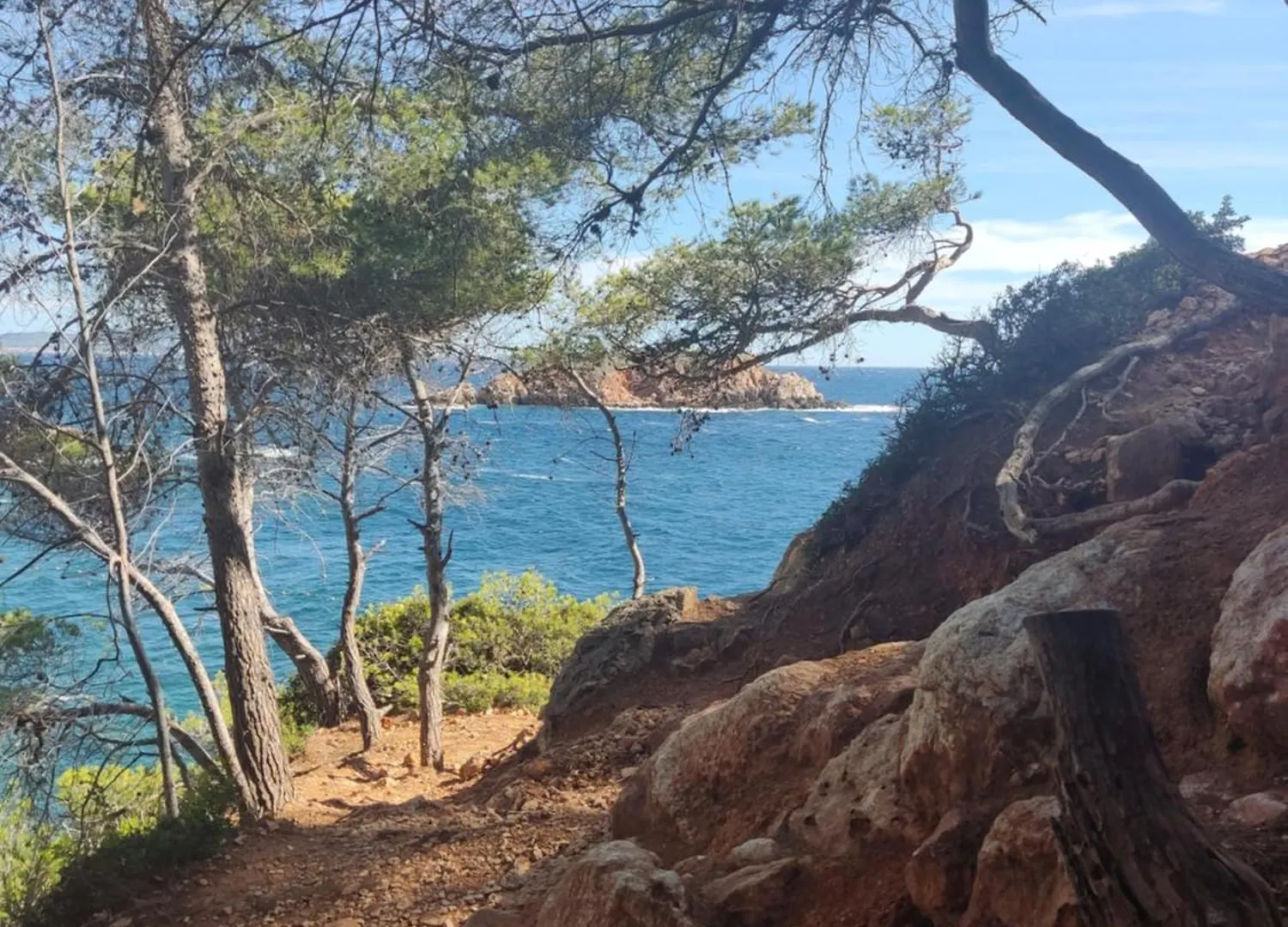 Apartment Charmant Studio 2A4 Pers Avec Jardin Et Place De Parking Situe A 5 Min A Pied De La Mer Bandol